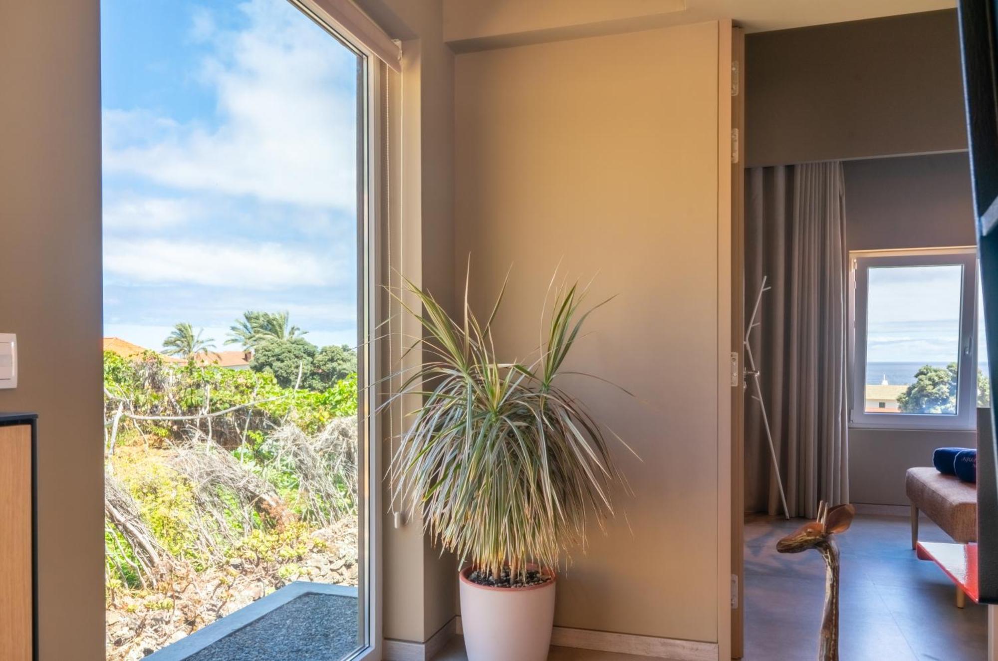 Doca Seca & Casca De Uva Villa Porto Moniz Ngoại thất bức ảnh